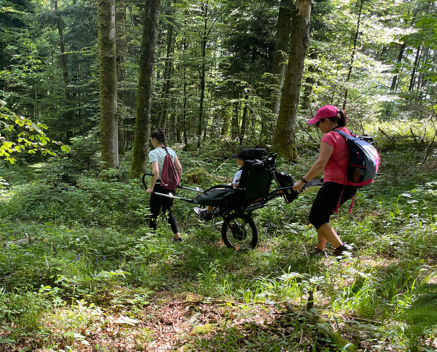Sortie en forêt avec des Joëlettes et leurs accompagnateurs